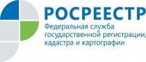 О фактах коррупции в системе Росреестра можно сообщить по телефону