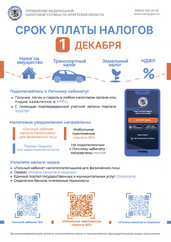 Срок уплаты налогов - 1 декабря!